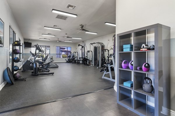 State-of-the-art fitness center with modern equipment at Palm Court Apartments, offering resident-focused luxury living