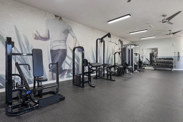 State-of-the-art fitness center with modern equipment at Palm Court Apartments