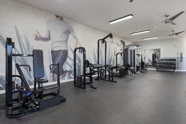 fitness center at Palm Court Apartments