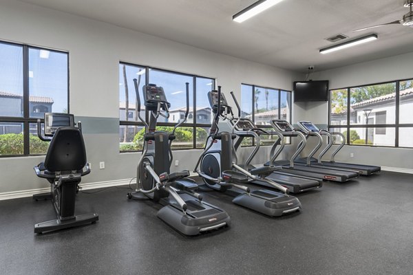 Modern fitness center with state-of-the-art gym equipment at Palm Court Apartments