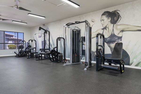 State-of-the-art fitness center with modern equipment at Palm Court Apartments