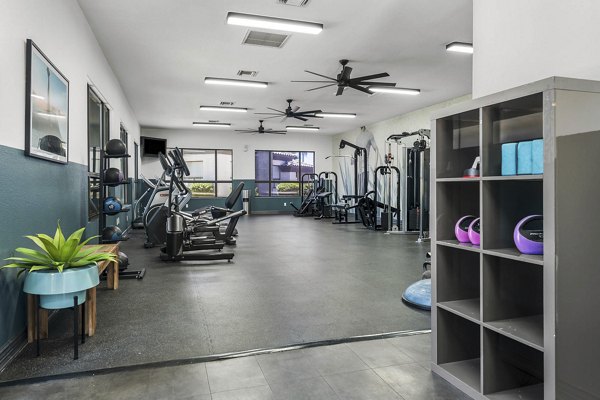 fitness center at Palm Court Apartments