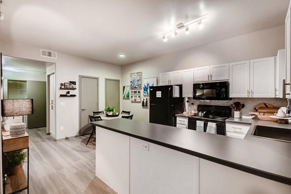 kitchen at Palm Court Apartments