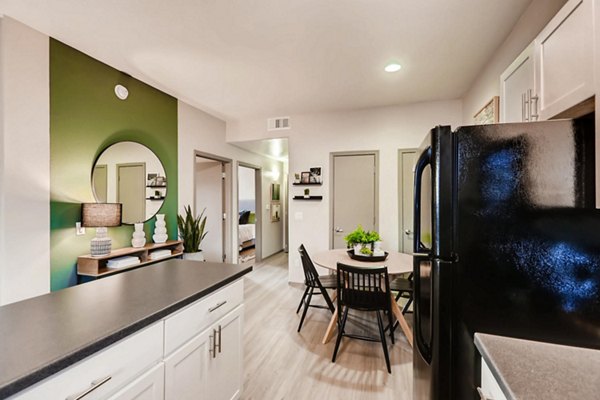 kitchen at Palm Court Apartments