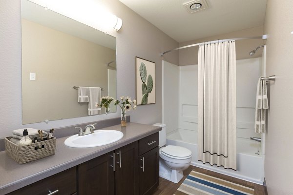 rendering at Meadows at Cascade Park Apartments