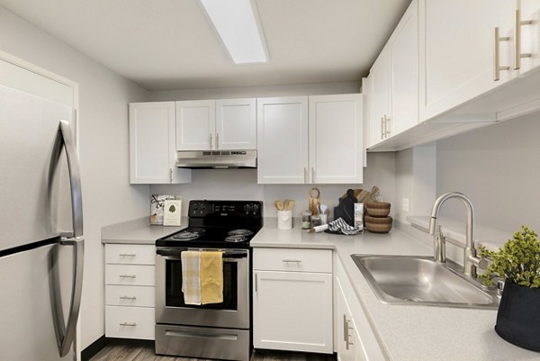 rendering at Meadows at Cascade Park Apartments
