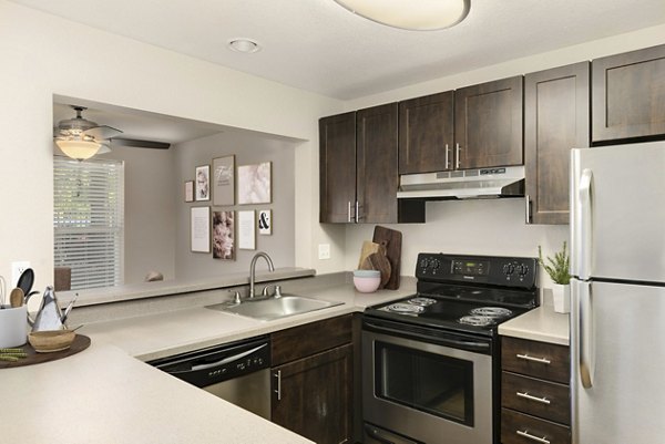 rendering at Meadows at Cascade Park Apartments