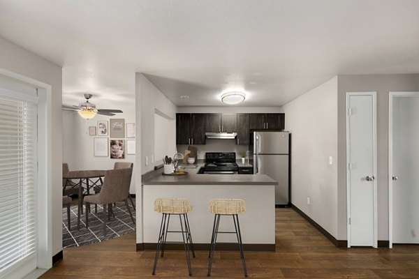 rendering at Meadows at Cascade Park Apartments