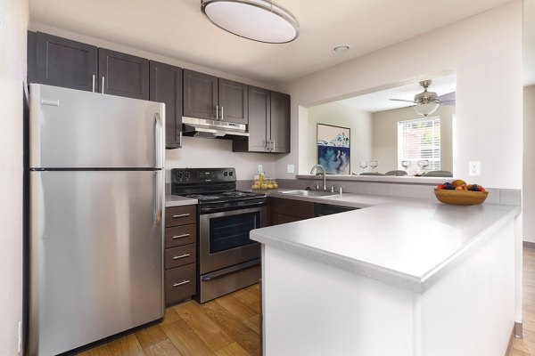 rendering at Meadows at Cascade Park Apartments