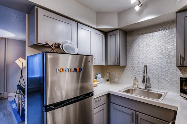 Modern kitchen with stainless steel appliances at Park Plaza Apartments featuring luxury finishes