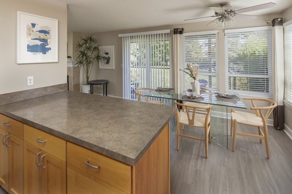 kitchen at Sorrento Bluff Apartments