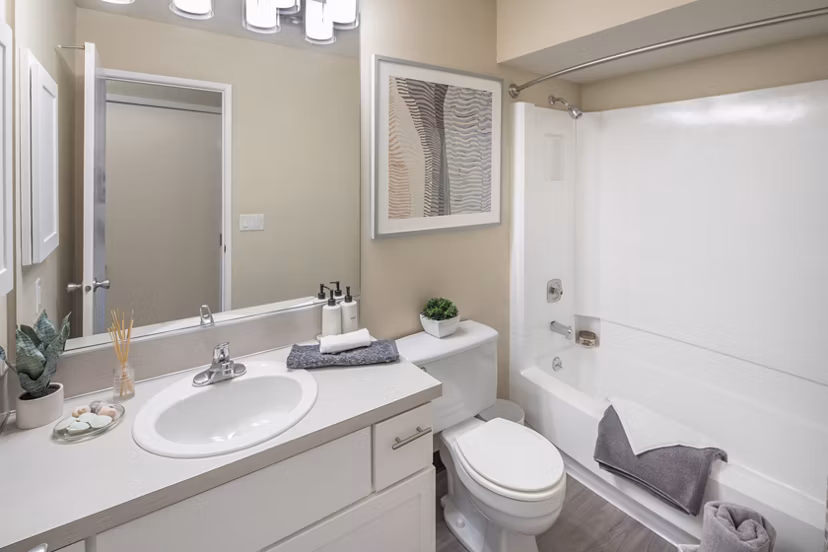 Modern bathroom with sleek fixtures at Summerfield Apartments, a Greystar luxury community