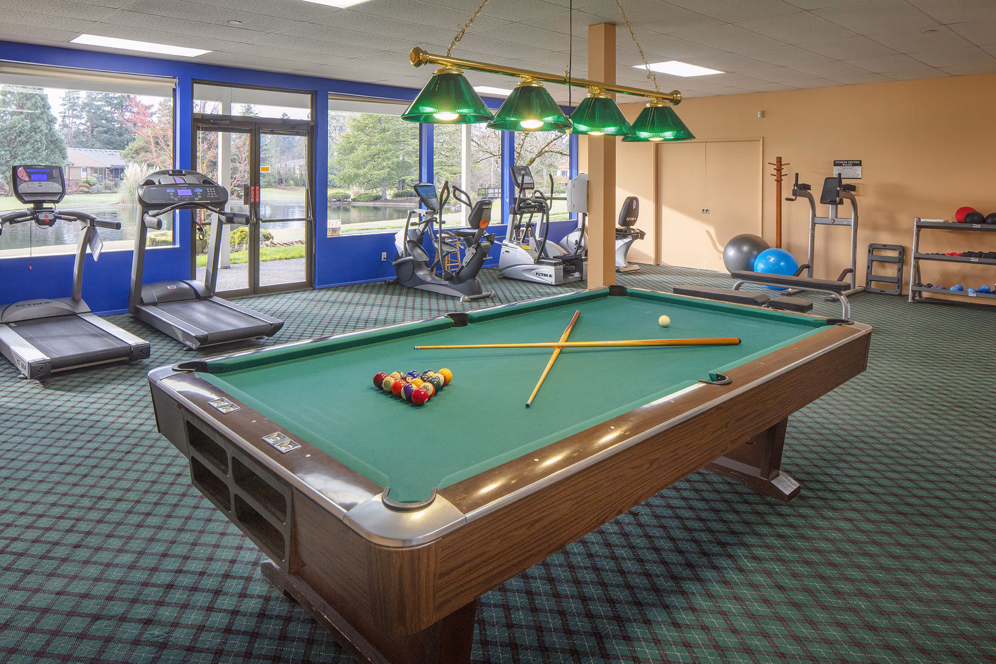 State-of-the-art fitness center with modern equipment at Summerfield Apartments, perfect for an active lifestyle