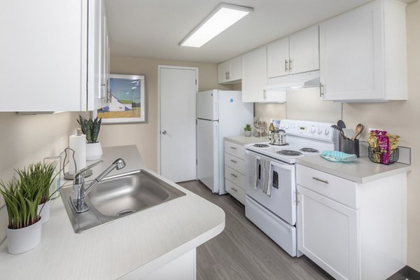 Modern kitchen with stainless steel appliances at Summerfield Apartments, ideal for luxurious living