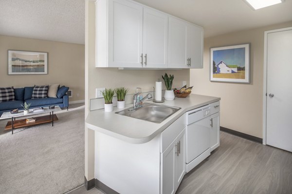 Modern kitchen with stainless steel appliances and granite countertops at Summerfield Apartments