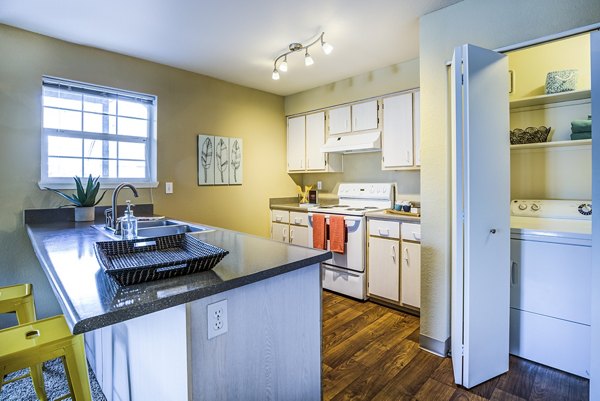 Modern kitchen with stainless steel appliances at Village at Cascade Park Apartments luxury living community