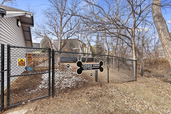 Expansive dog park with agility equipment at Logger Creek at Parkcenter Apartments, ideal for pet-friendly luxury living