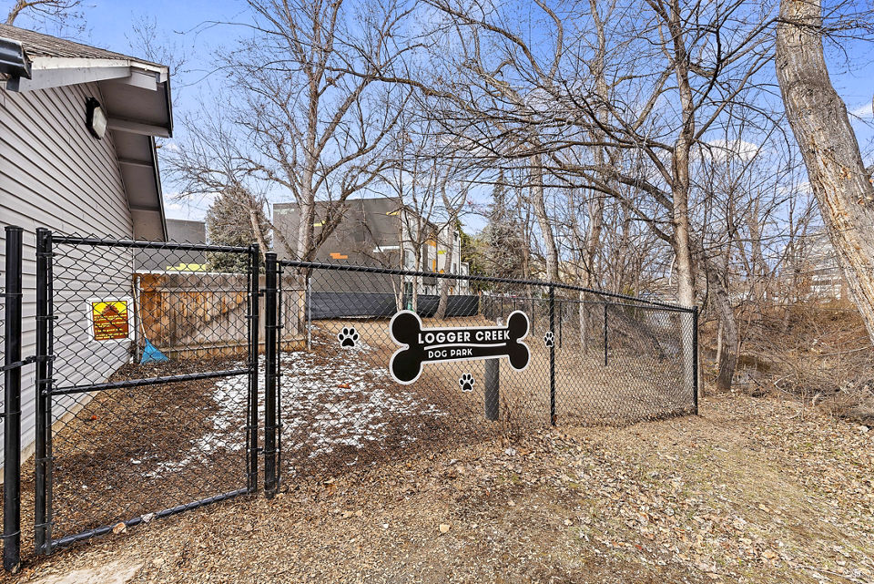 Expansive dog park with agility equipment at Logger Creek at Parkcenter Apartments, ideal for pet-friendly luxury living