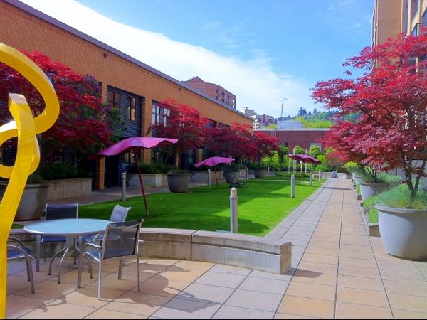 Elegant clubhouse with modern furnishings at Museum Place Apartments