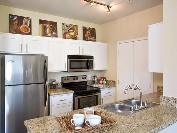 Modern kitchen with stainless steel appliances in Castlerock Apartments