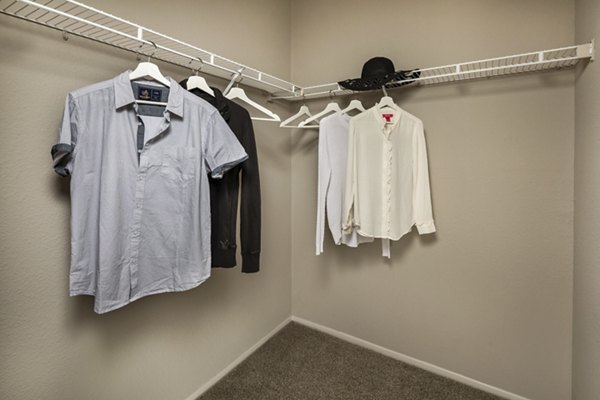 Walk-in closet with ample shelving in Colonnade Apartments, a Greystar luxury community