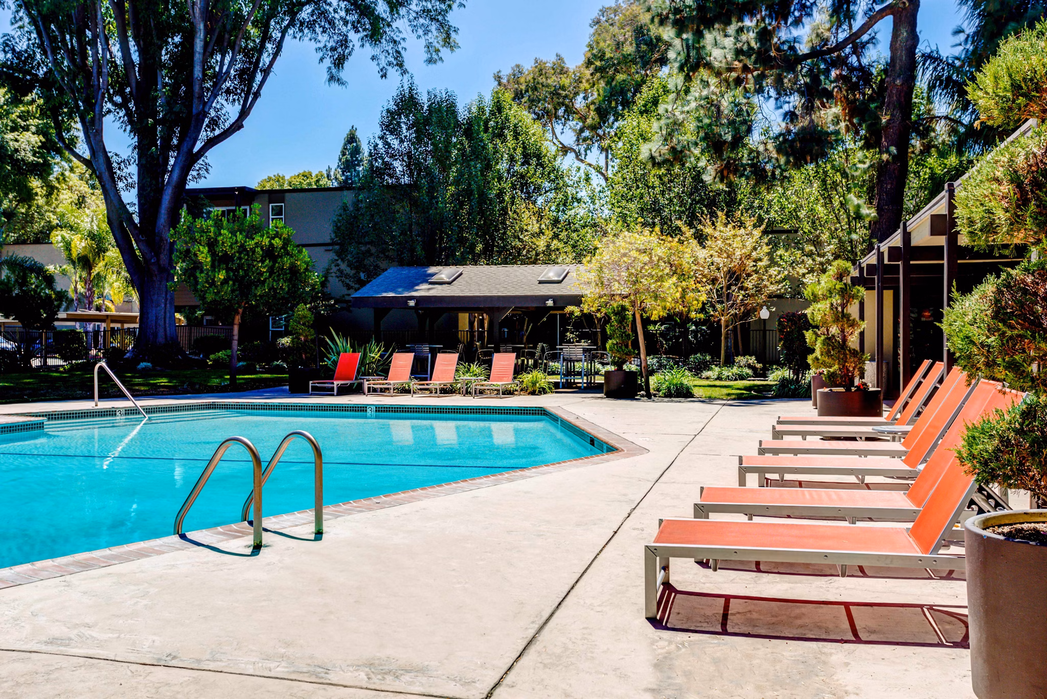 pool at The Grove Apartments