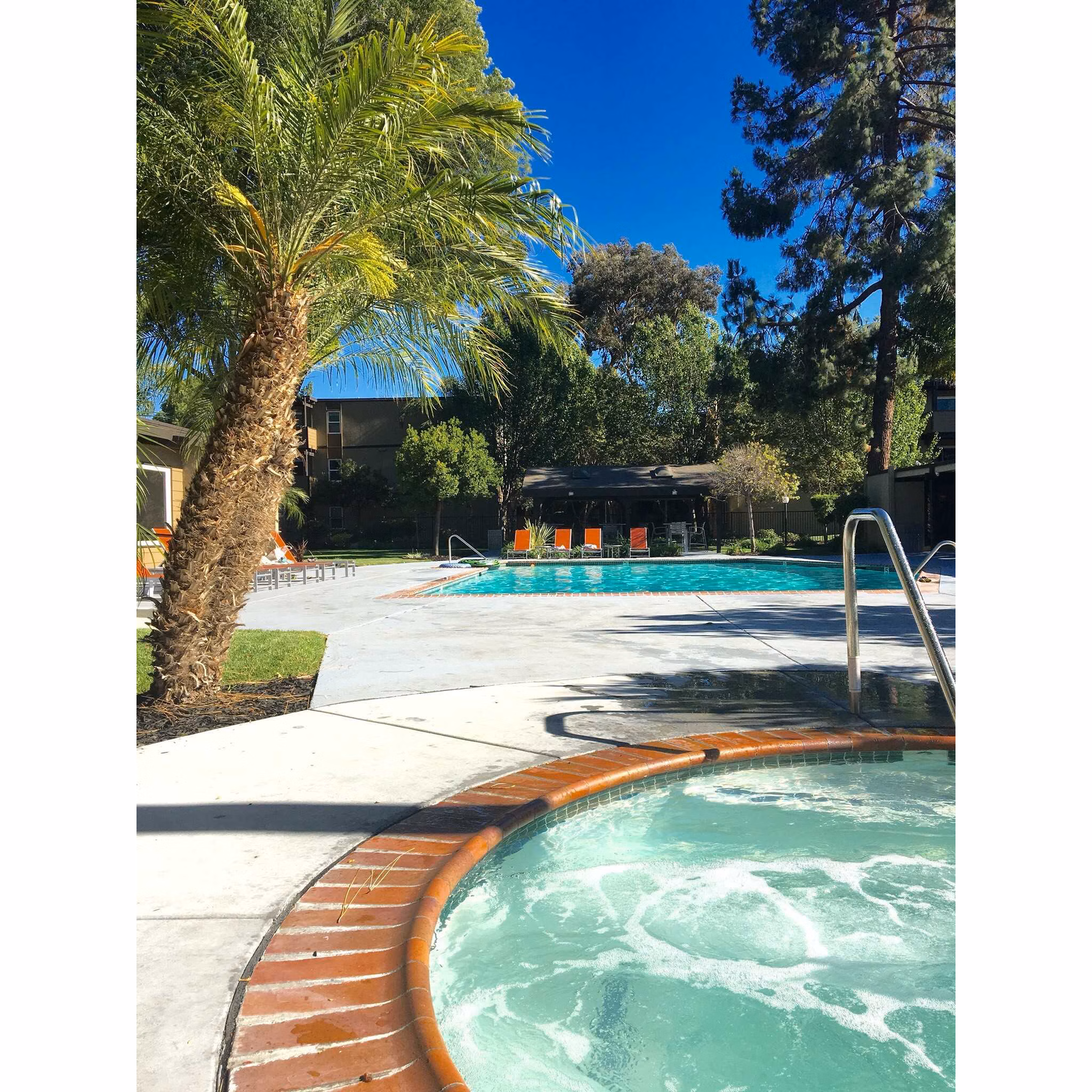 pool at The Grove Apartments