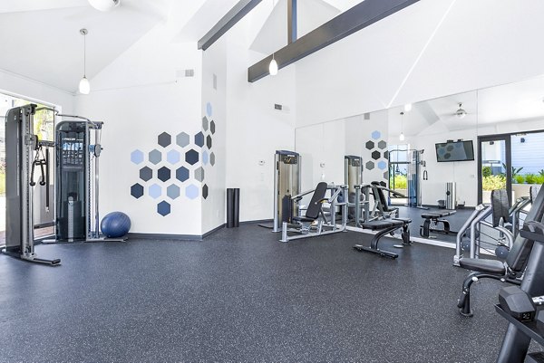 Fitness center with state-of-the-art equipment at Enclave Apartments