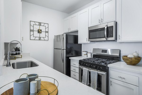 Modern kitchen with stainless steel appliances at Enclave Apartments, Greystar luxury community