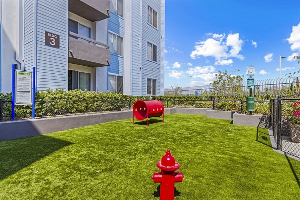 Dogs enjoy off-leash play at the pet-friendly dog park at Enclave Apartments, a luxury Greystar community