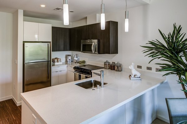 kitchen at The Dudley Apartments