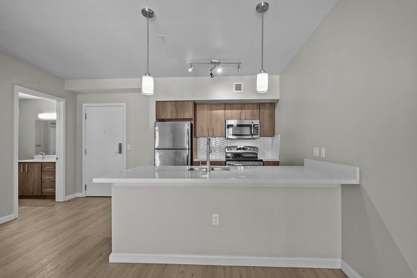kitchen at Franklin Ide Apartments