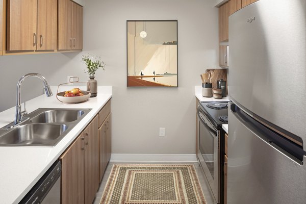 Modern kitchen with stainless steel appliances in Creekside Apartments