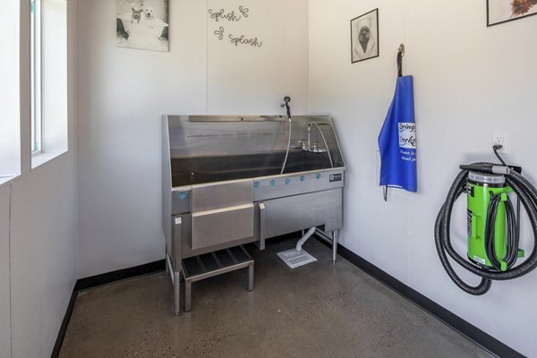 Convenient dog wash station at Creekside Apartments