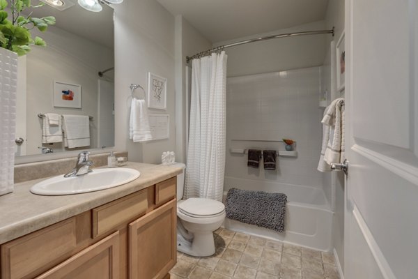 Modern bathroom with sleek fixtures at Apex Apartments