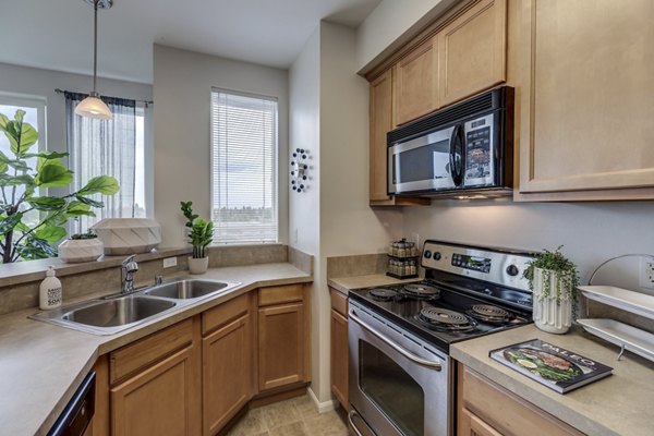 Modern kitchen with stainless steel appliances at Apex Apartments