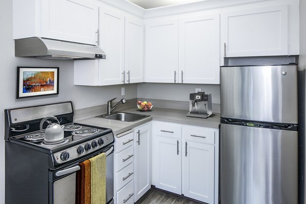 Modern kitchen with stainless steel appliances at Parkridge Apartments