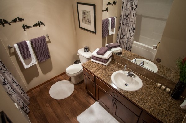 bathroom at The Homestead Apartments