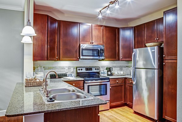 Modern kitchen with stainless steel appliances in Retreat at the Woodlands Apartments