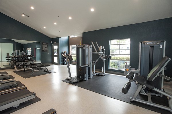 fitness center at Vue at 3600 Apartments