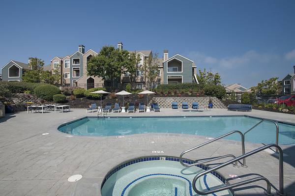 pool at Vue at 3600 Apartments