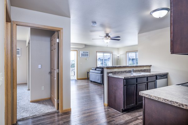Modern kitchen with stainless steel appliances in Plantation at Hunters Run Apartments, luxury living by Greystar