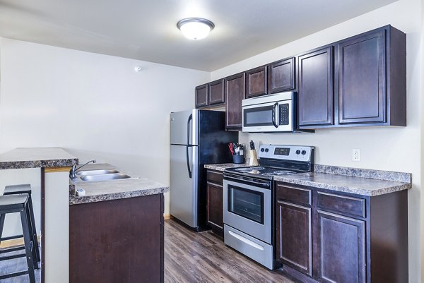 Modern kitchen with stainless steel appliances in Plantation at Hunters Run Apartments, a Greystar luxury community