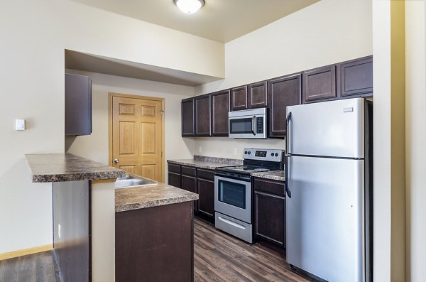 Modern kitchen with stainless steel appliances in Plantation at Hunters Run Apartments