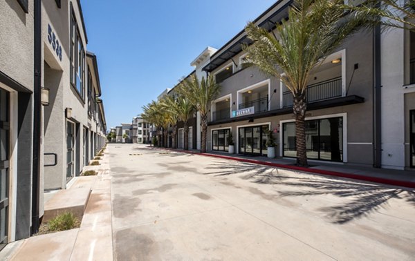 Accent Apartments: Contemporary luxury apartments in urban setting