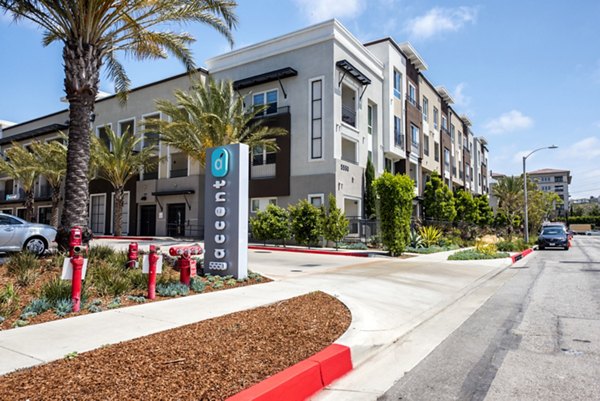 Accent Apartments: Contemporary luxury apartments in urban setting