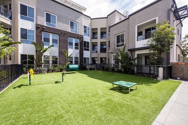 Dog park with agility equipment at Accent Apartments
