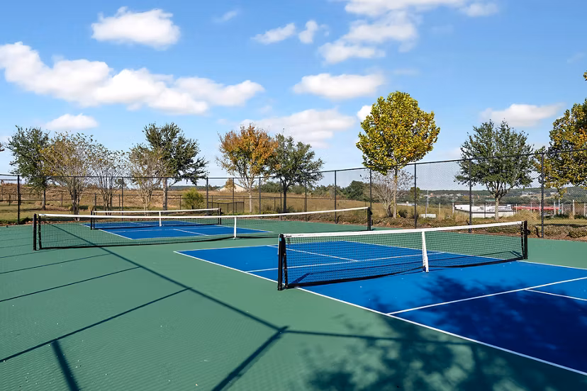 playground at The Vineyards at Hammock Ridge Apartments 