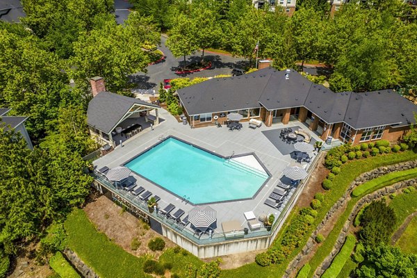 Relaxing outdoor pool area at Arbor Heights Apartments offering luxurious leisure amenities in a serene setting