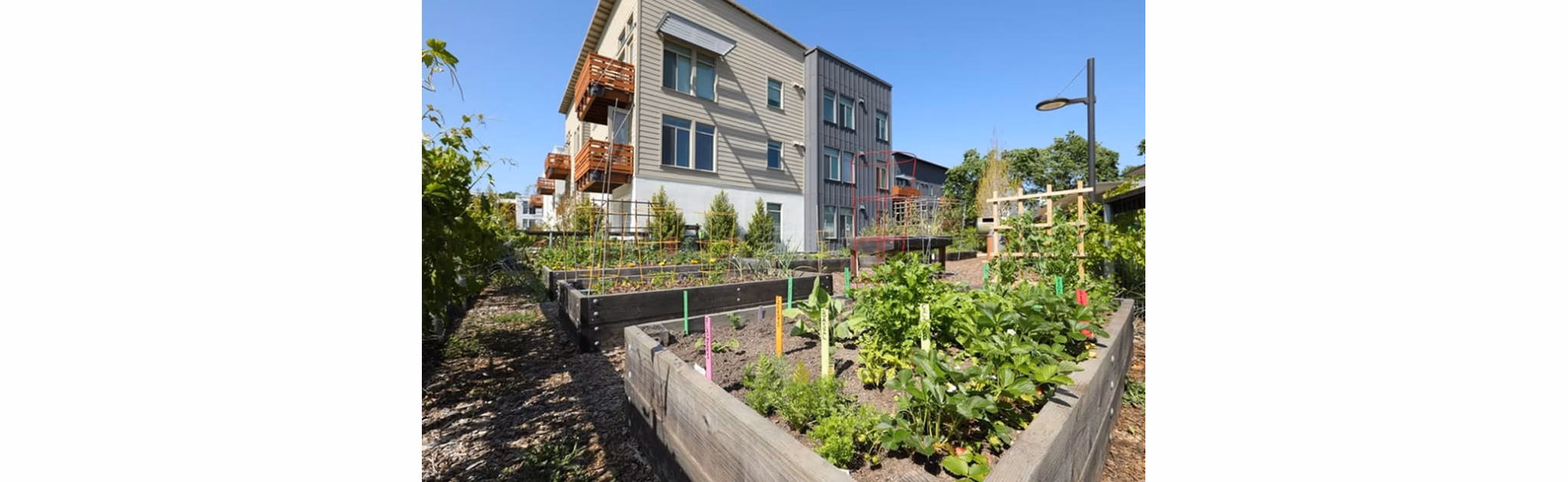 courtyard at Annadel Apartments